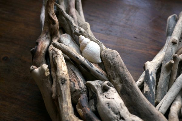 Driftwood Star with Shell